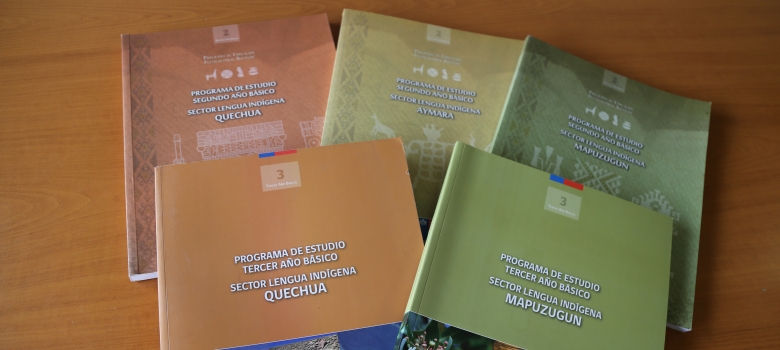 Portal de Educación Intercultural