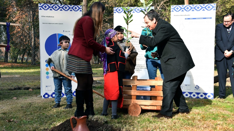 Portal de Educación Intercultural