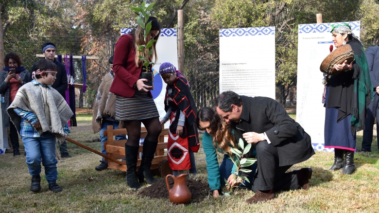 Portal de Educación Intercultural