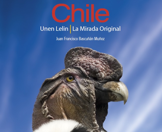 Portal de Educación Intercultural
