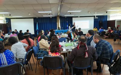 Jornada Nacional de Levantamiento Curricular de la asignatura Lengua y Cultura de los Pueblos Originarios Ancestrales