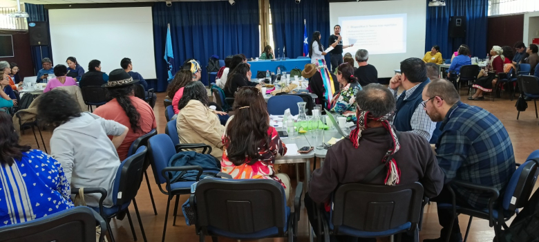 Jornada Nacional de Levantamiento Curricular de la asignatura Lengua y Cultura de los Pueblos Originarios Ancestrales